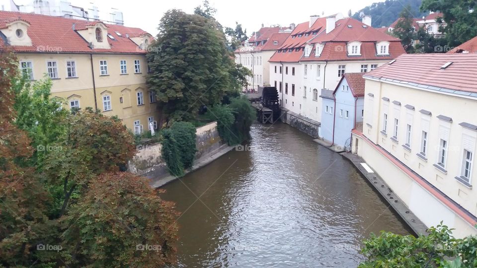 Urban Nature: Water