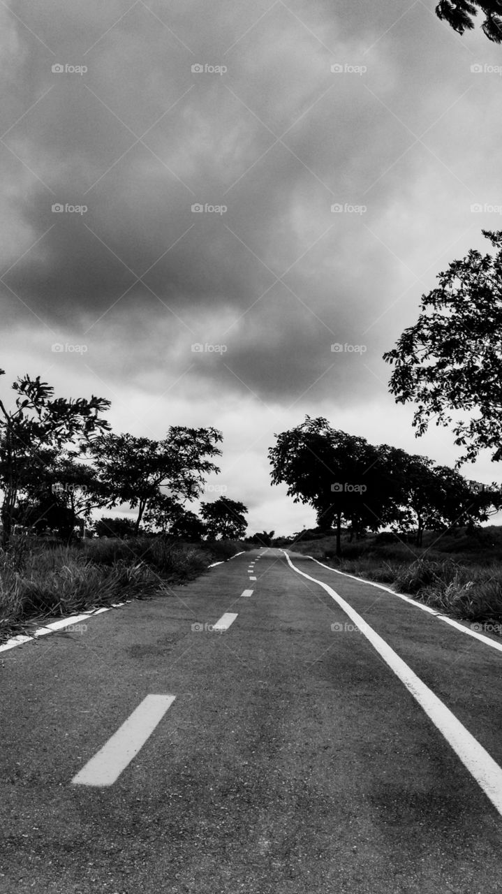 ciclovia bicycle Path estrada