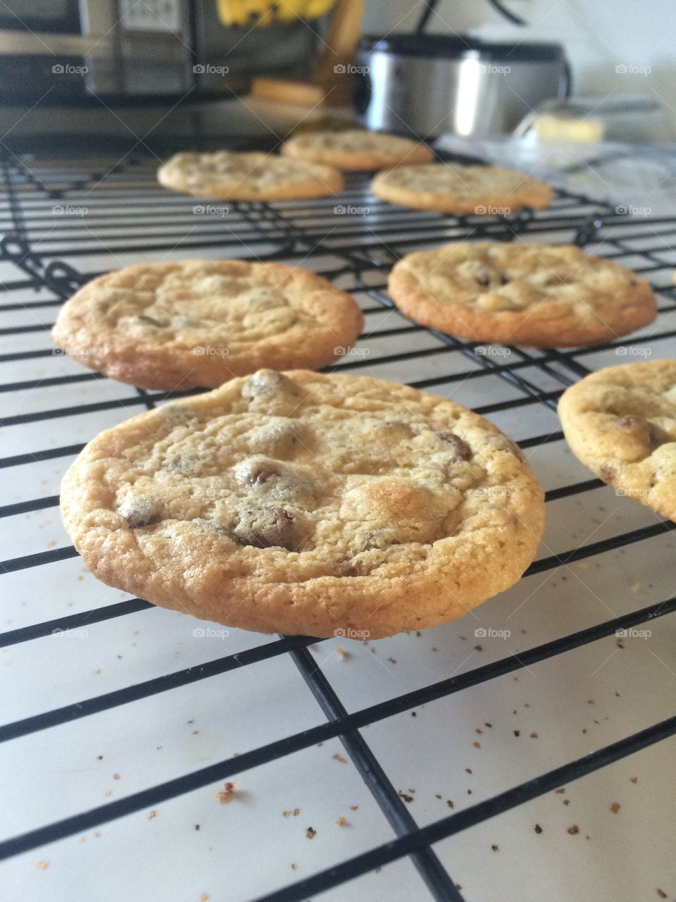 Freshly Baked . Chocolate chip cookies on a cooling rack 