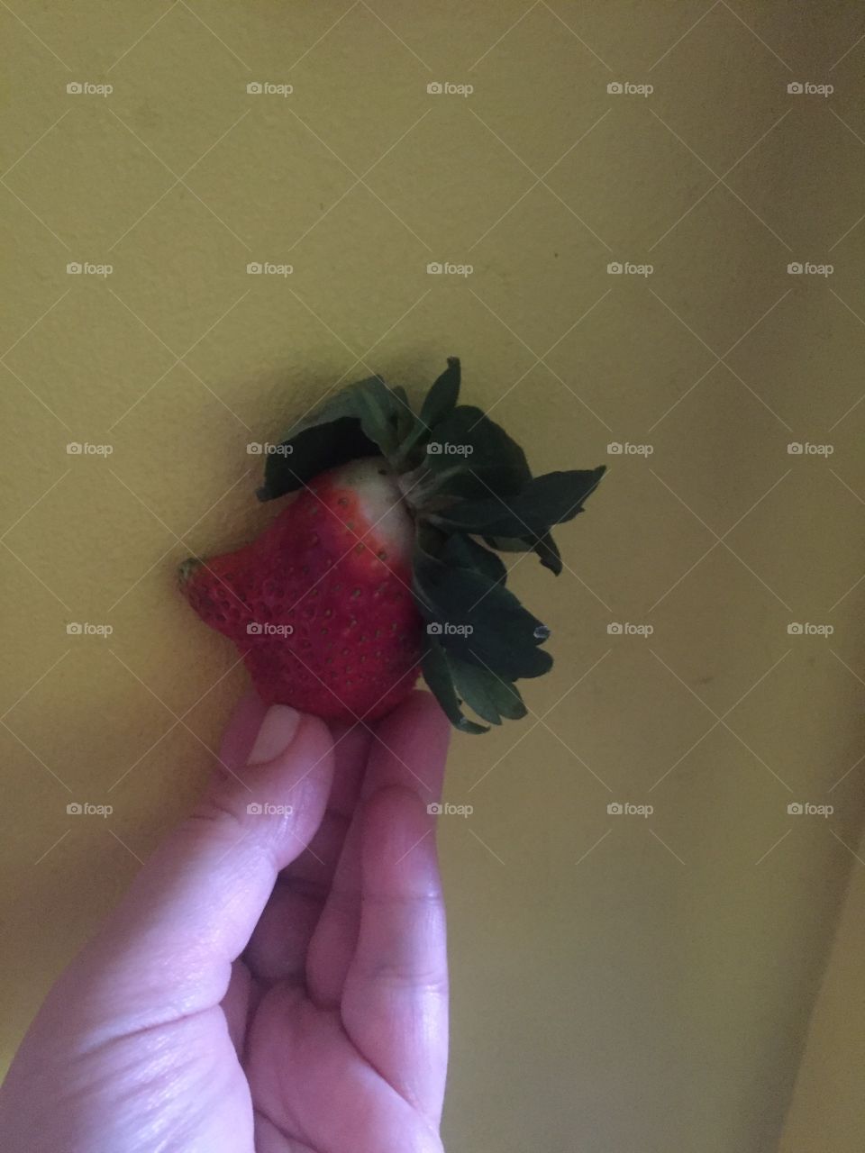 Mohawk strawberry 