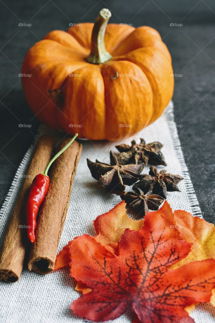 Pumpkin everything spices autumn seasonal colors 