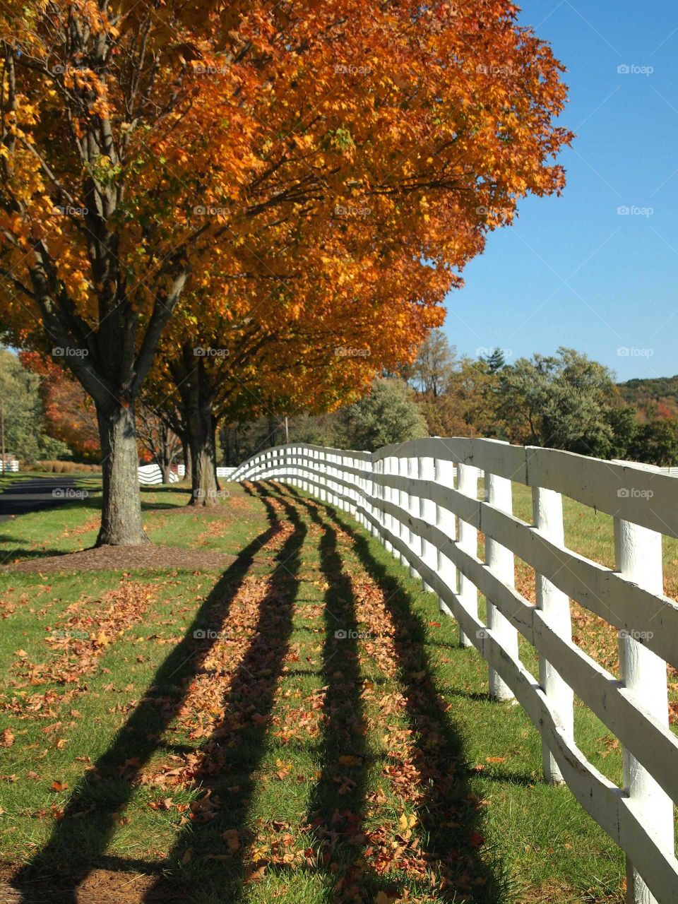 Fence on grassy field in autumn