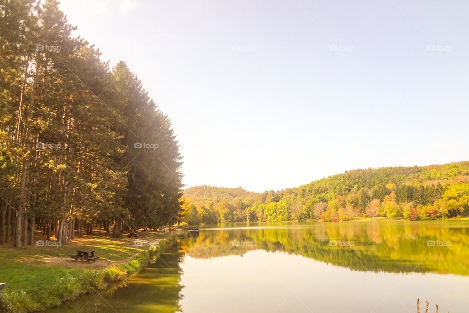 October trees and lake