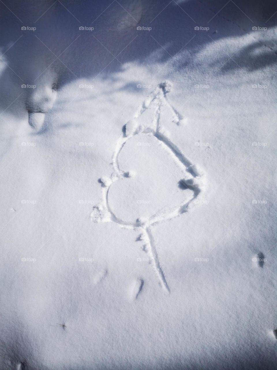 cupid's arrow on snow