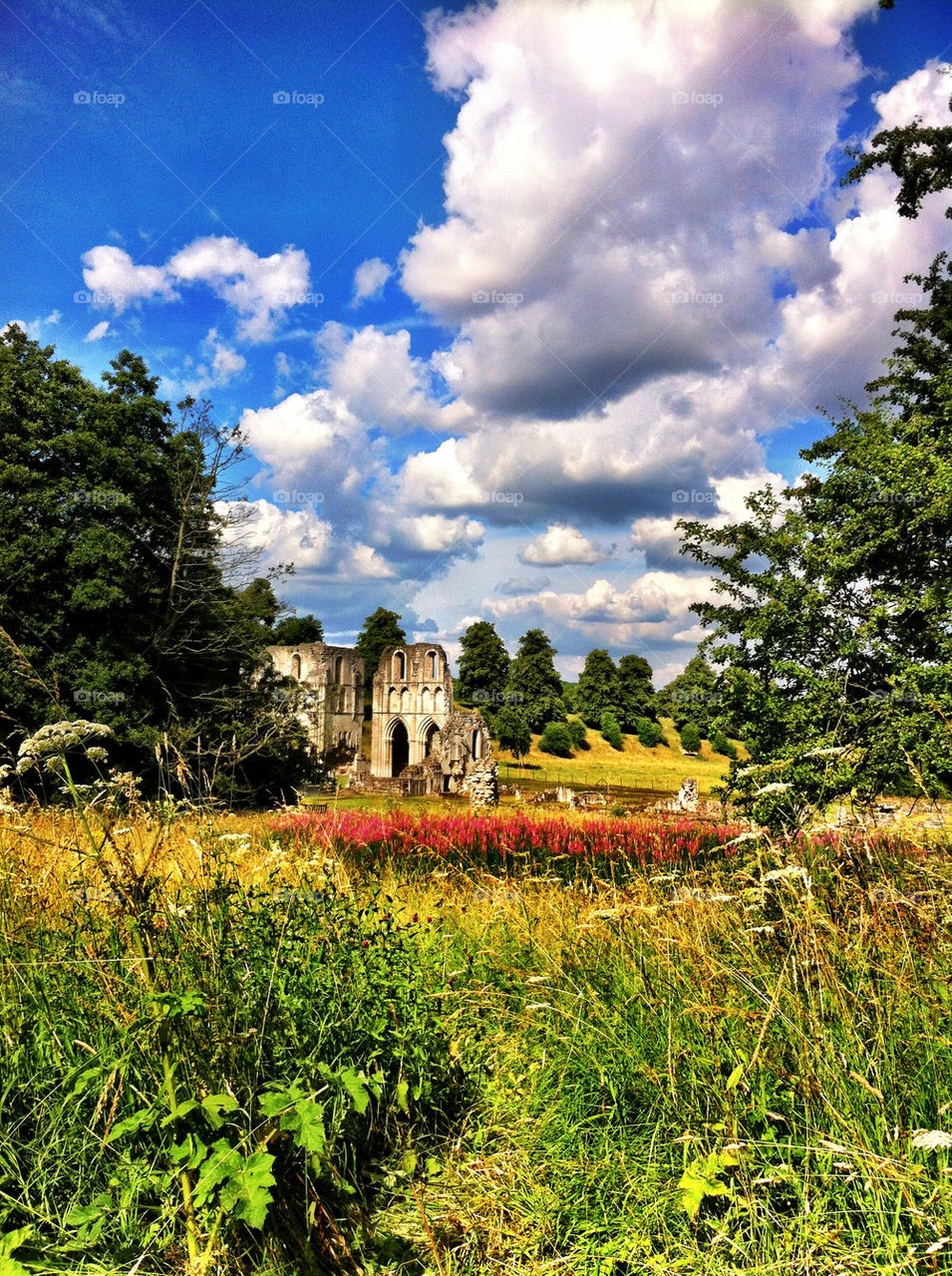 Scenic view of old monastery