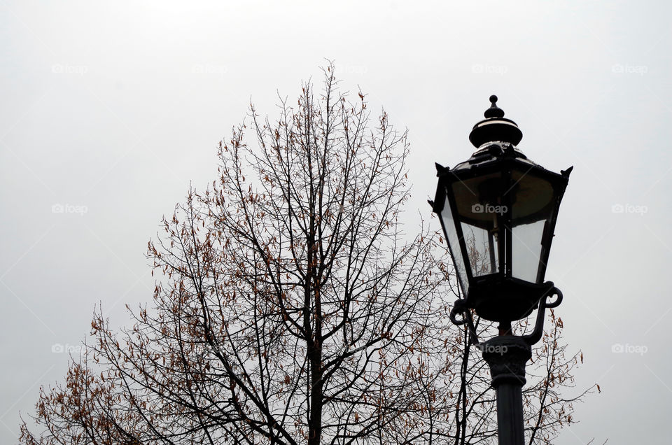 Low angle view of old-fashioned lantern against tree and sky during winter in Berlin, Germany.