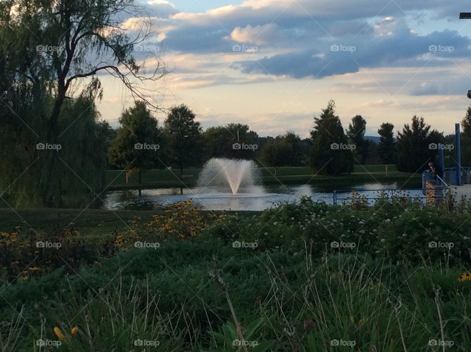 Enjoying the evening around the pond