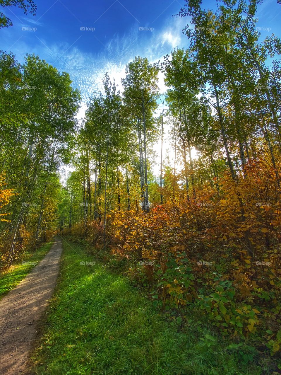 Hiking trail