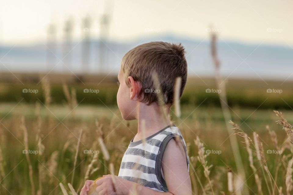 Warm summer field breezes 