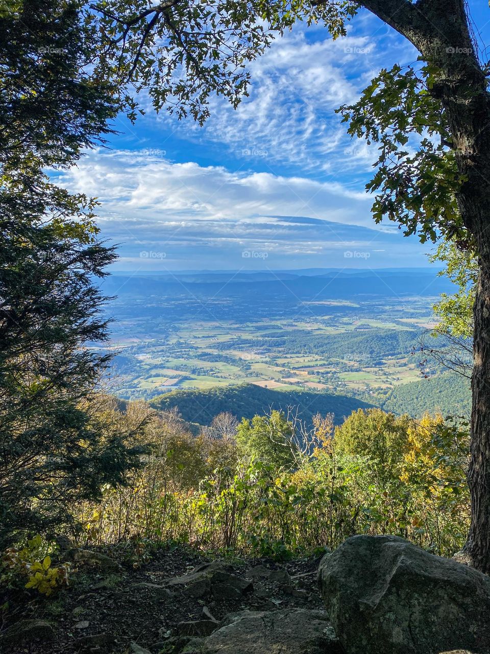 Framed by the natural surrounding, the Blue Ridge Mountains and the valley below. Beautiful scenic view on the way to the top of the Stony Man Summit in Shenandoah National Park in Virginia.
