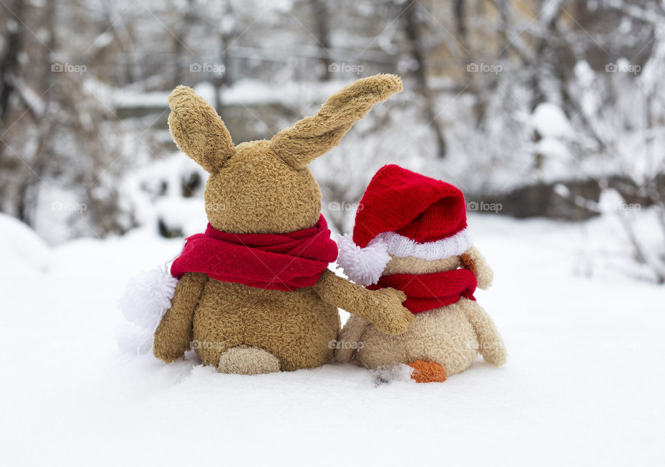 Teddy bears on snow