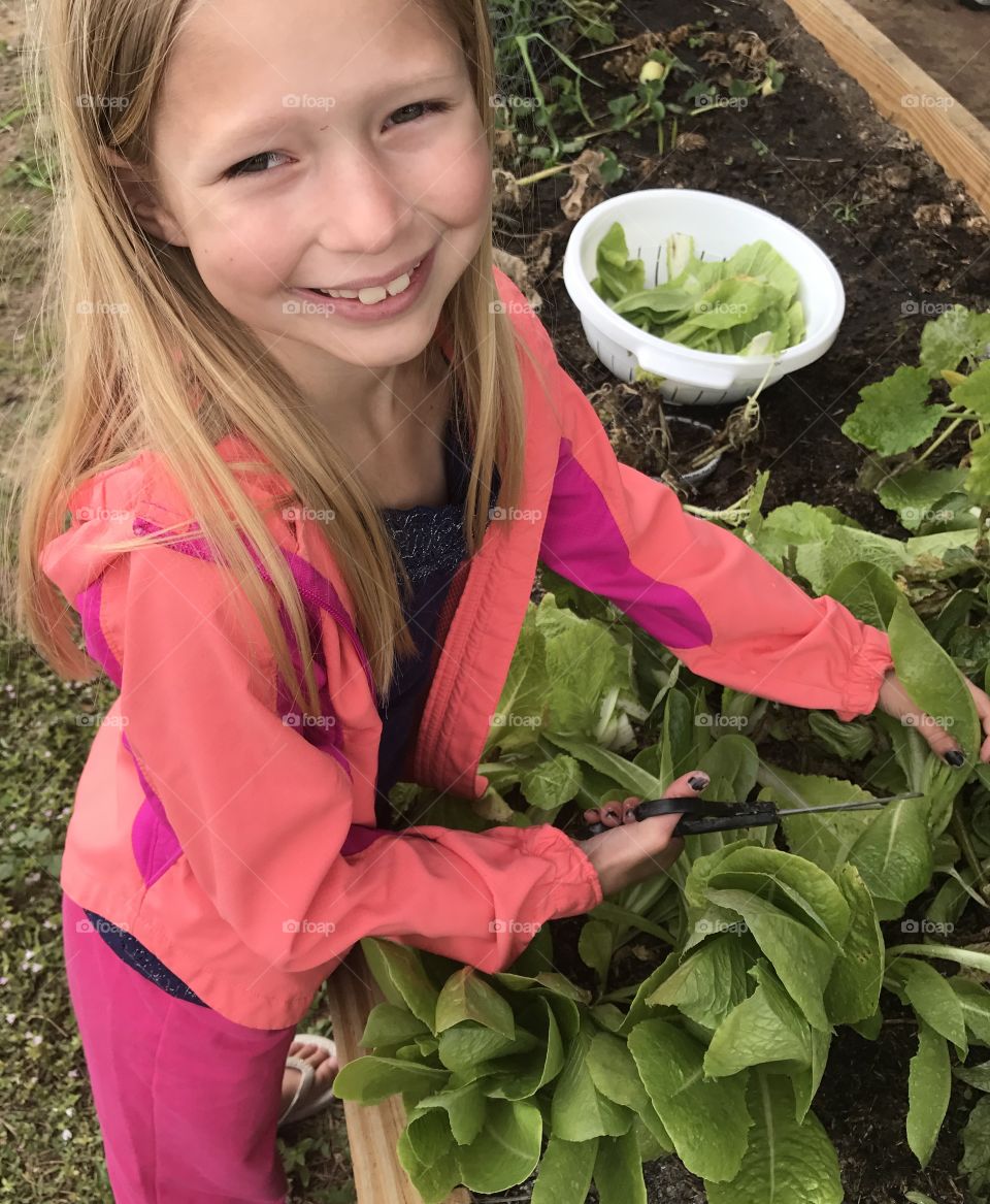 Girl harvesting crop from garden