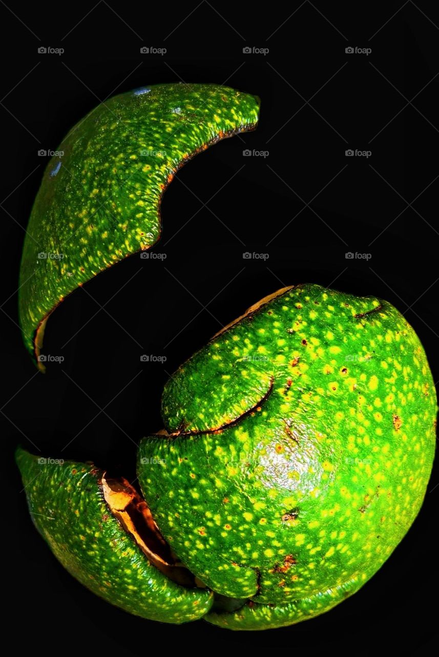 Old avocado fruit has dark green skin