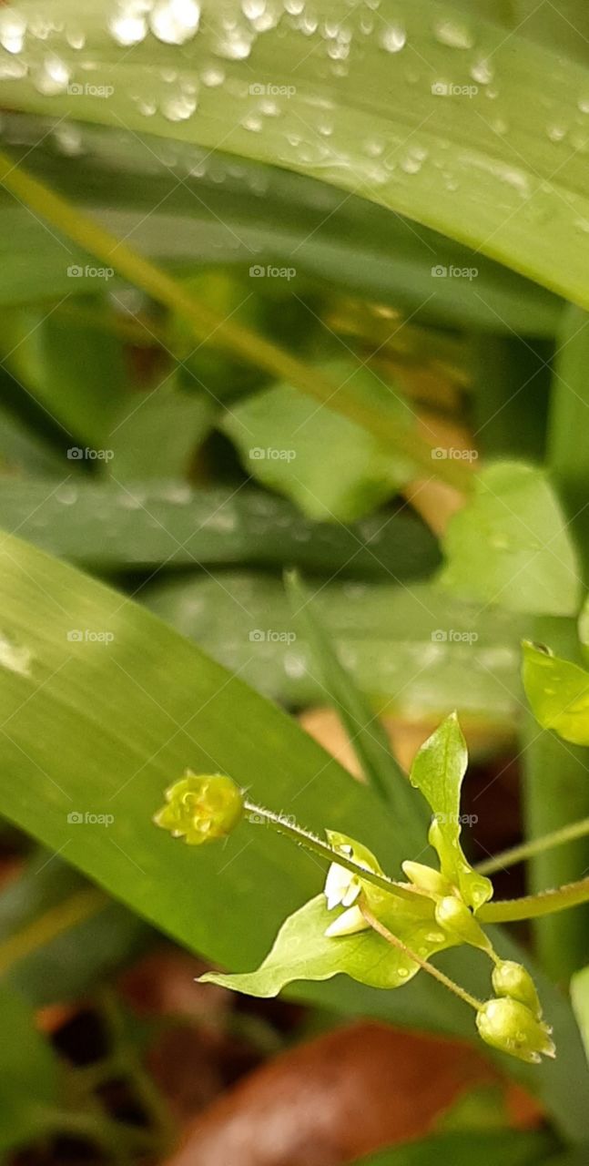 spring is beginning to show itself