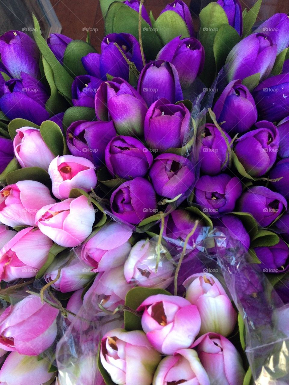 Close-up of purple tulips