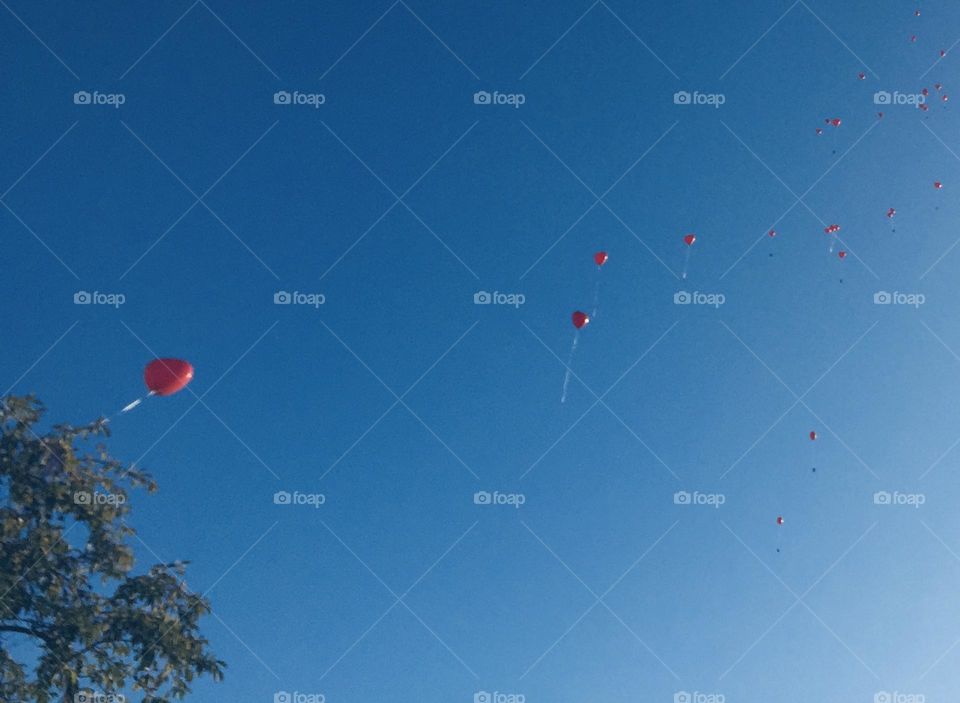 Heart-shaped helium balloons flying into the blue sky with a message attached to them.