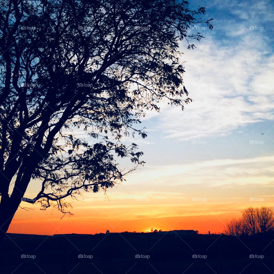 🌅Desperta, #Jundiaí!
Ótima 5a feira a todos nós.
🍃
#sol
#sun
#sky
#céu
#photo
#nature
#manhã
#morning
#alvorada
#natureza
#horizonte
#fotografia
#paisagem
#inspiração
#amanhecer
#mobgraphy
#FotografeiEmJundiaí