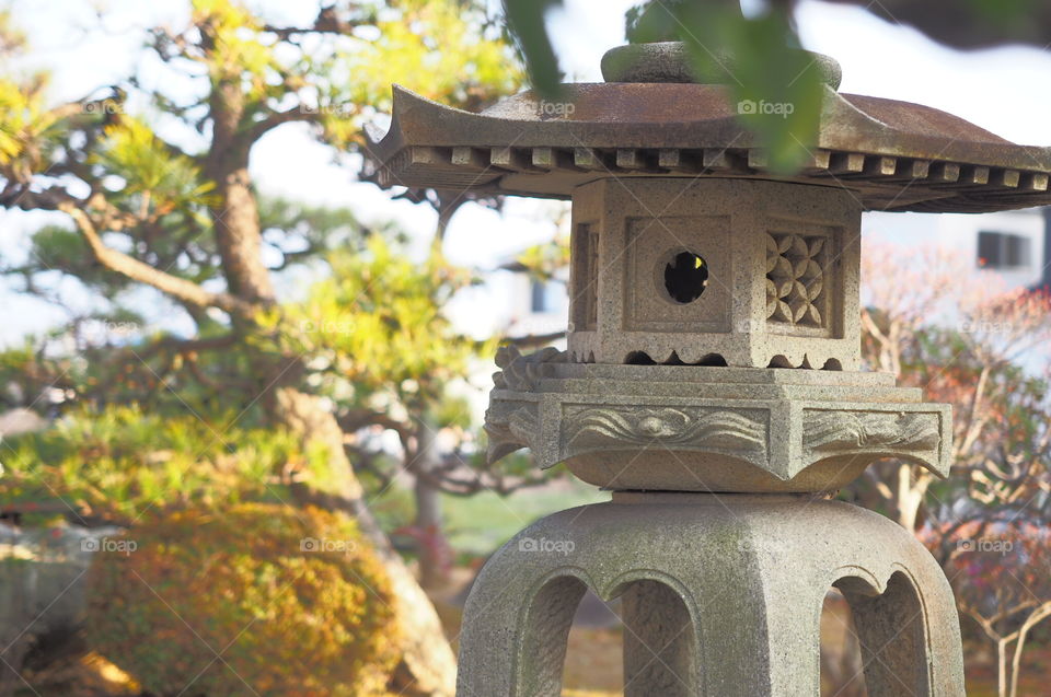 Japanese garden and toro