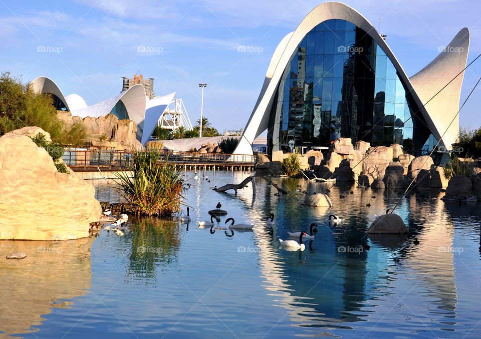 Valencia aqua park 