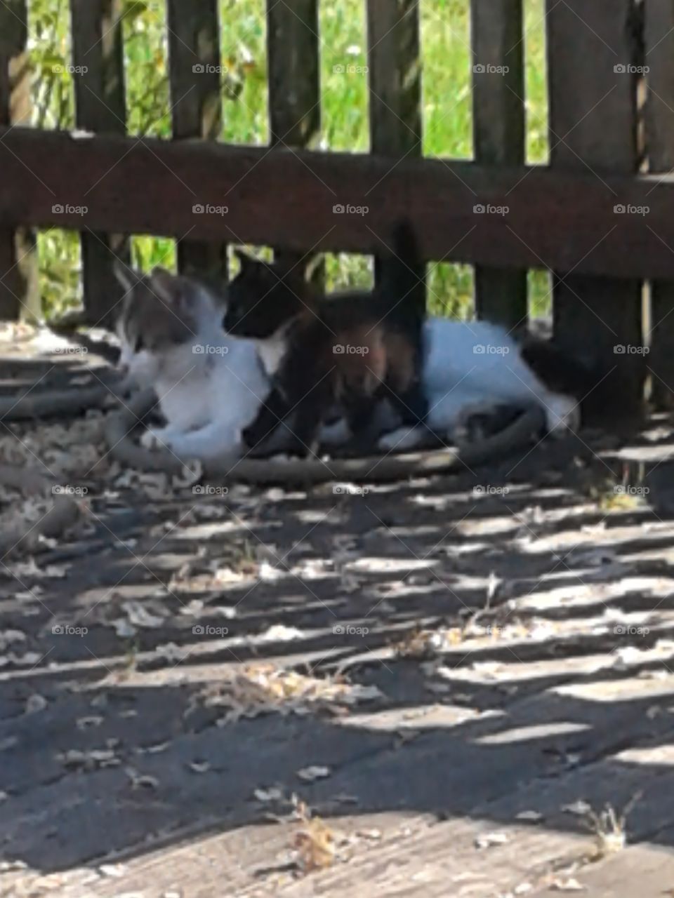 playing with mom