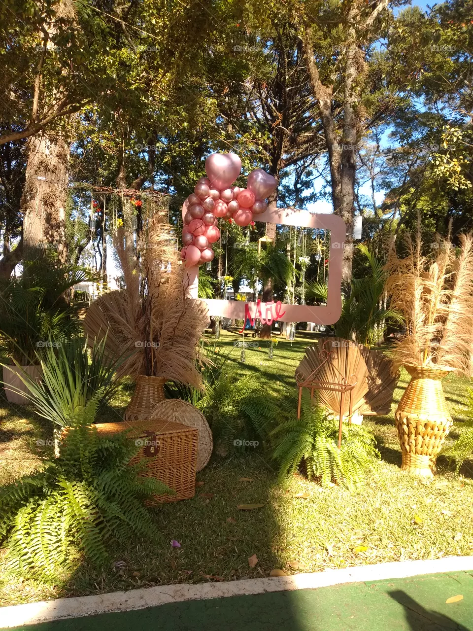 bem vindo foap natureza