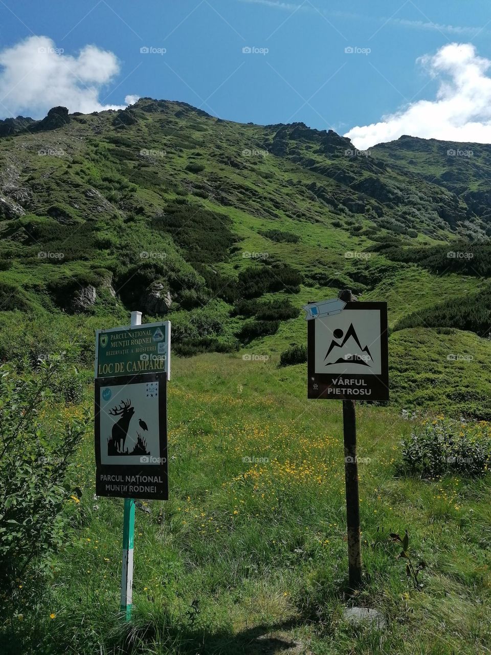 ❤️‍🩹❤  Geometric figures