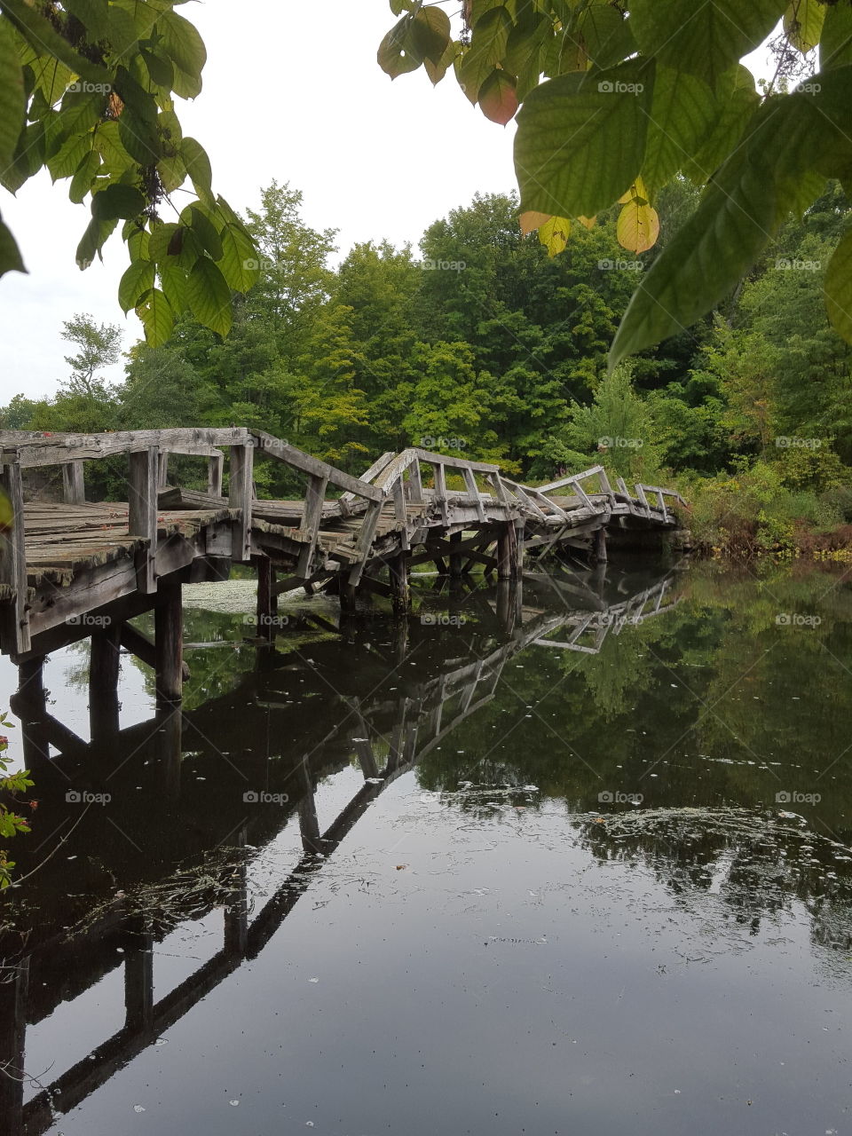 Broken bridge on lake