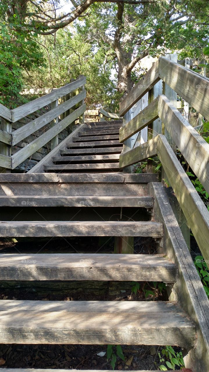 Step, Wood, No Person, Nature, Outdoors