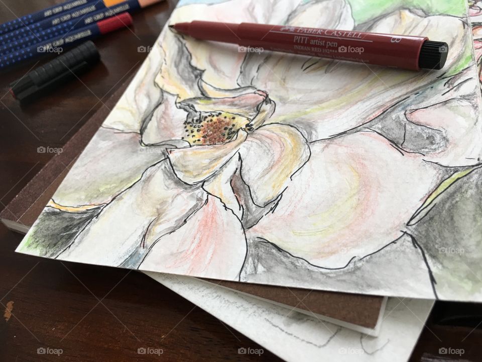 Watercolor sketch of flower on Wood table and sketchbook with colorful Faber-Castell PITT Artist pens and Art Grip Pencils 