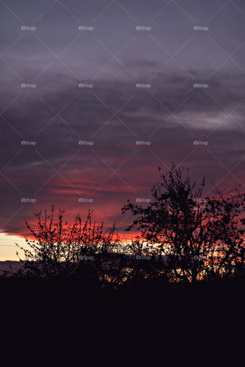 Beautiful view to the silhouettes of trees and colorful sky in the evening.