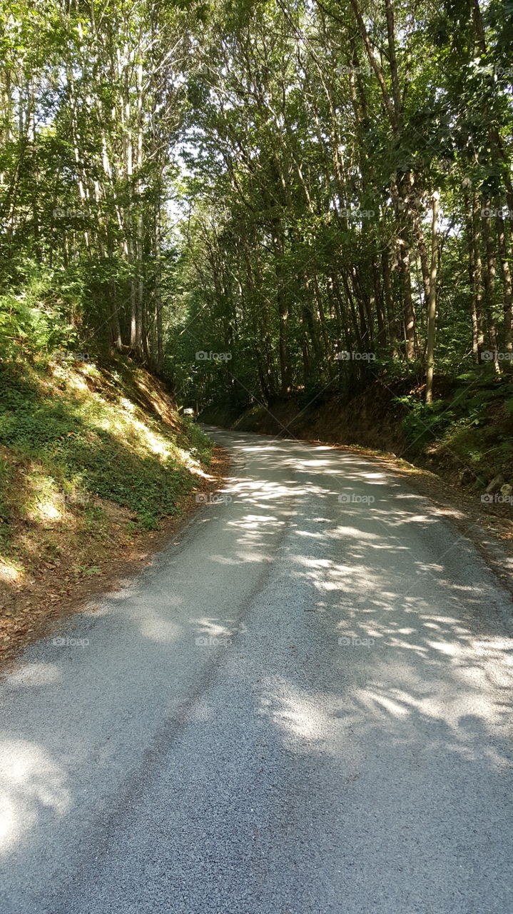 Road, Guidance, No Person, Nature, Landscape