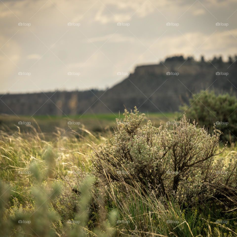 Macro closeup of farming plains.