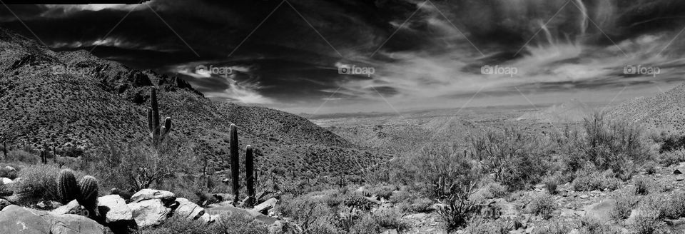Another black and white of the desert