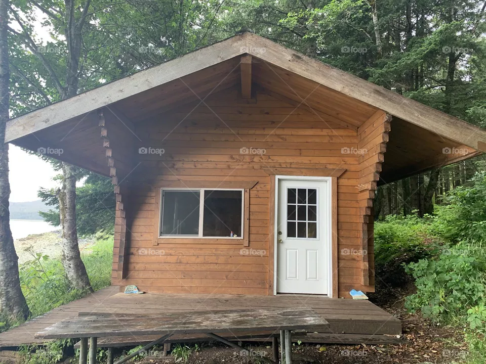 Cabin in the woods