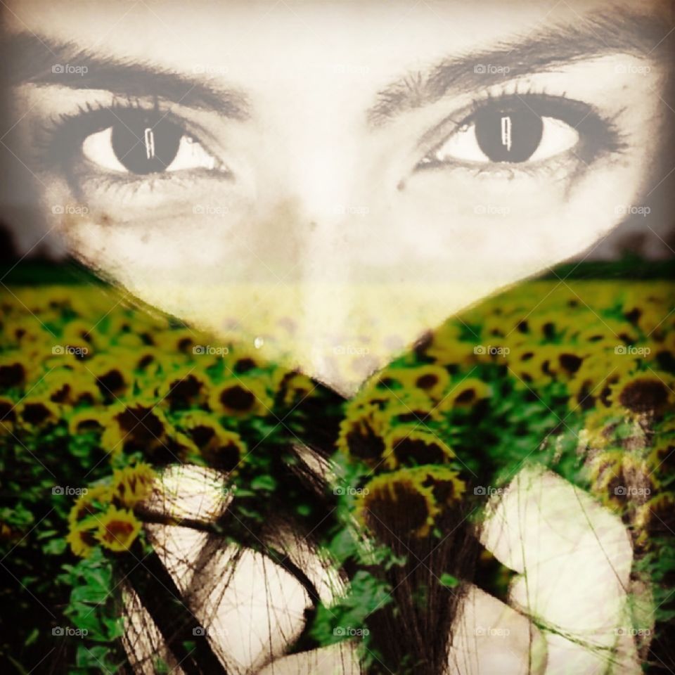 Nature, Wood, Tree, Texture, Color