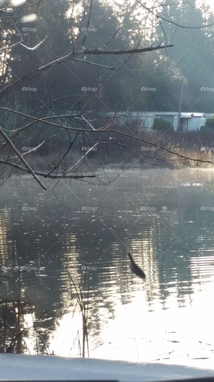 Misty morning Lake