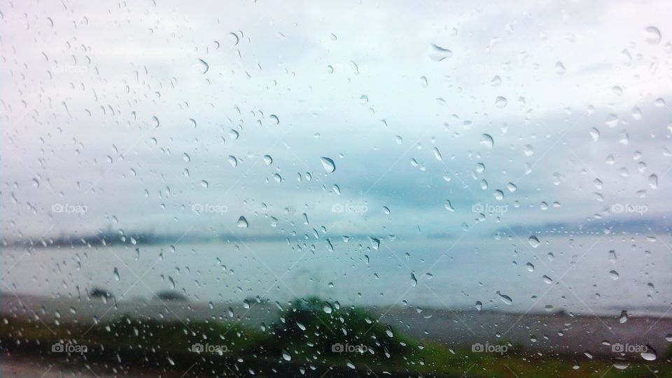 Raindrops on the Bay
