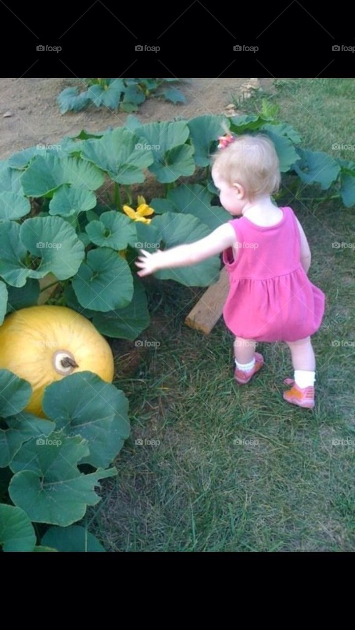 Baby in the Pumpkins