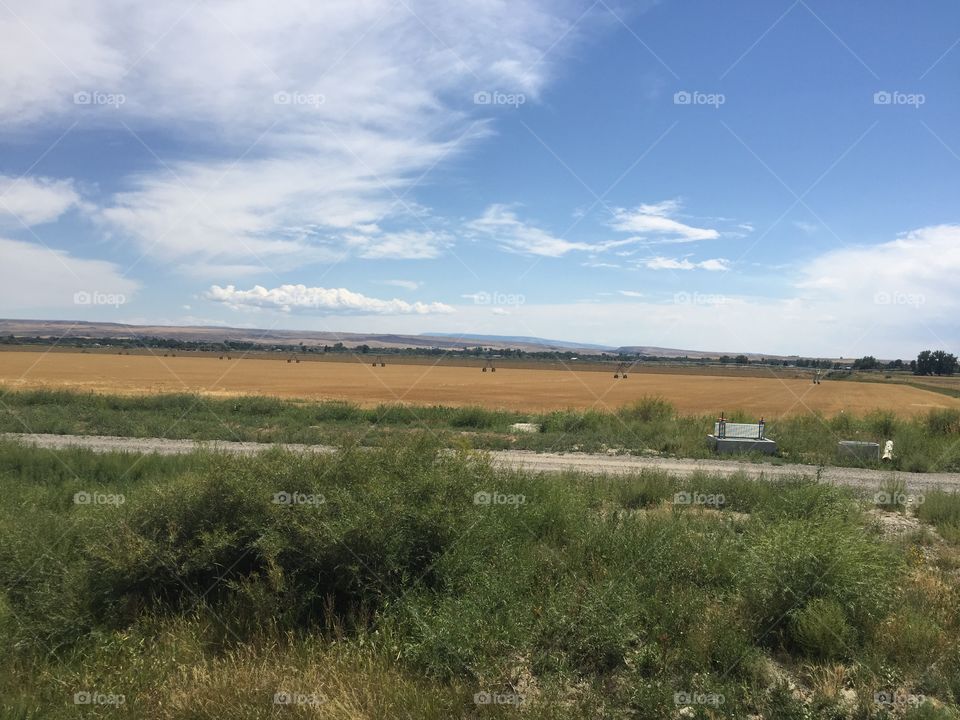 Landscape, Agriculture, No Person, Sky, Tree