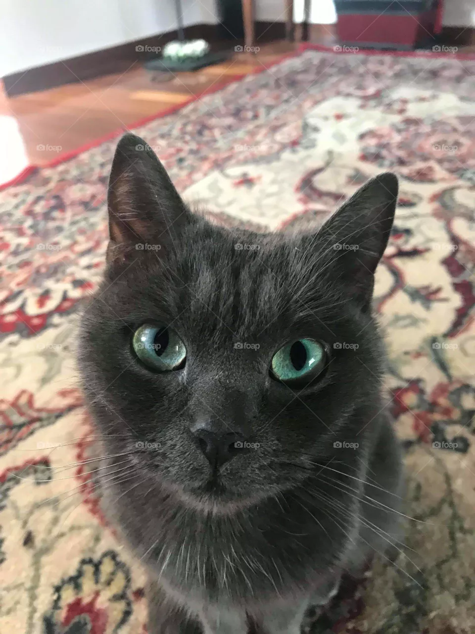Warm Eyes