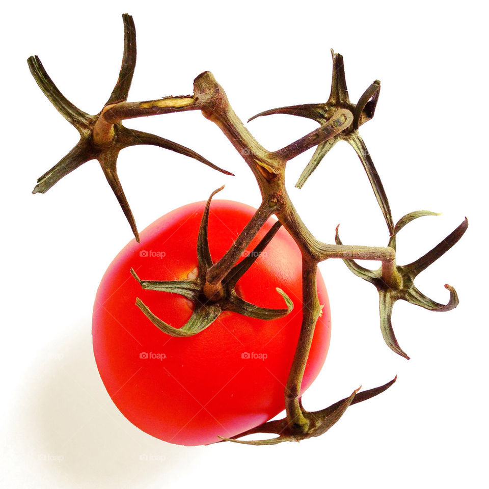 tomato vine by detrichpix