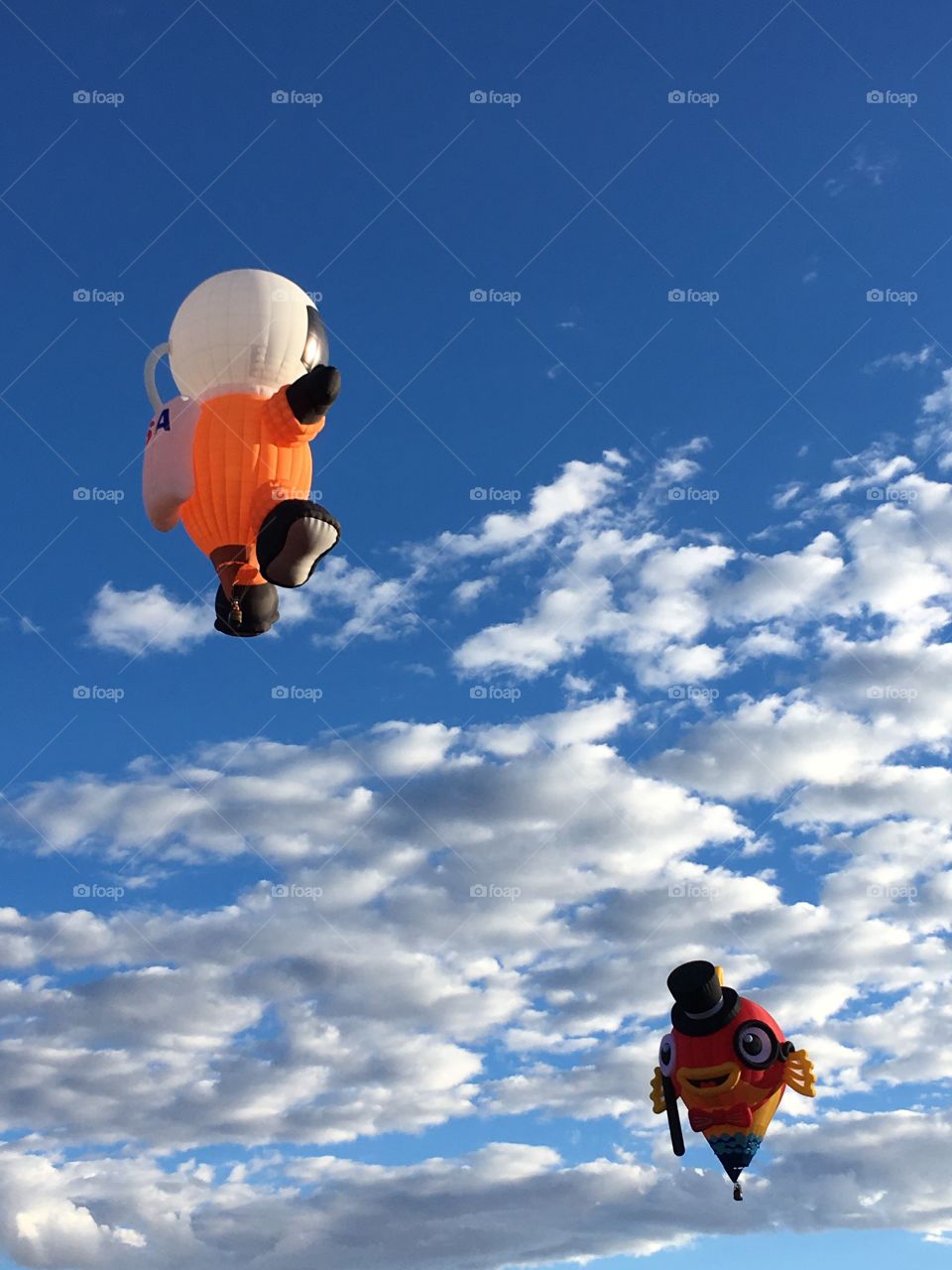 Balloon Fiesta