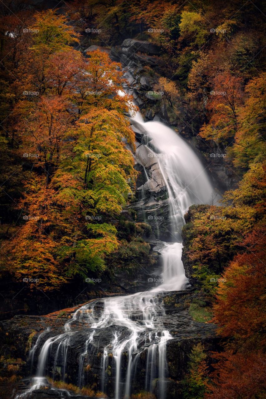 A waterfall surrounded by colorful autumn trees