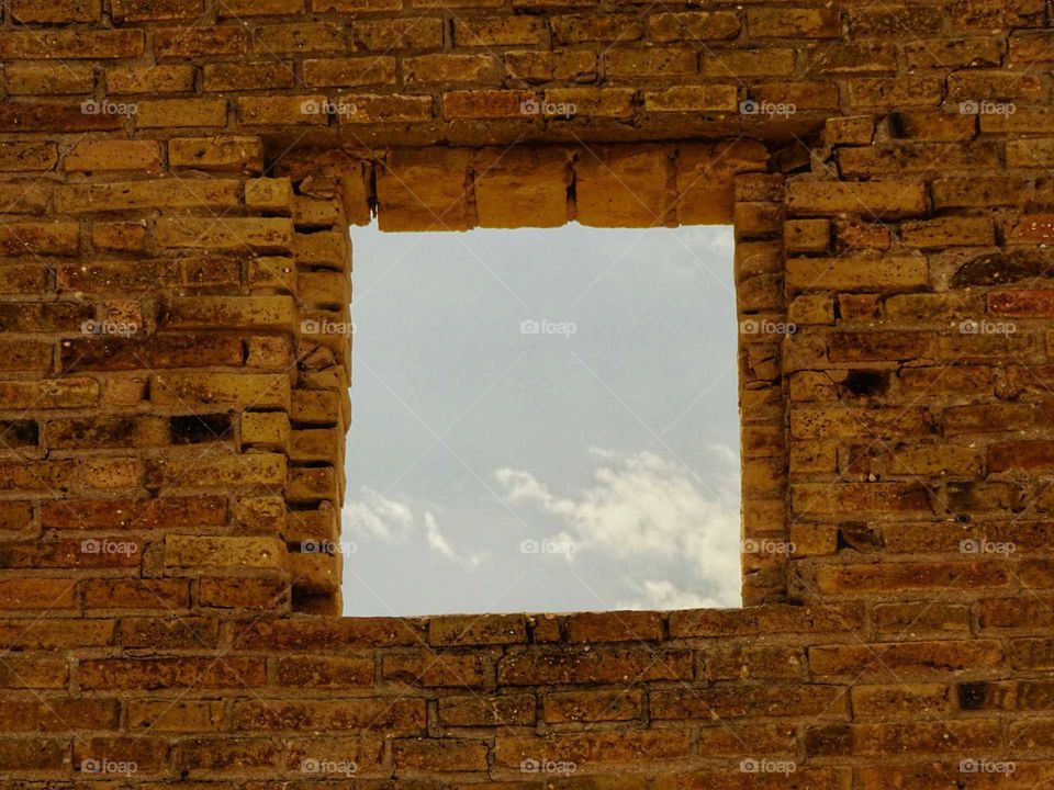 Window