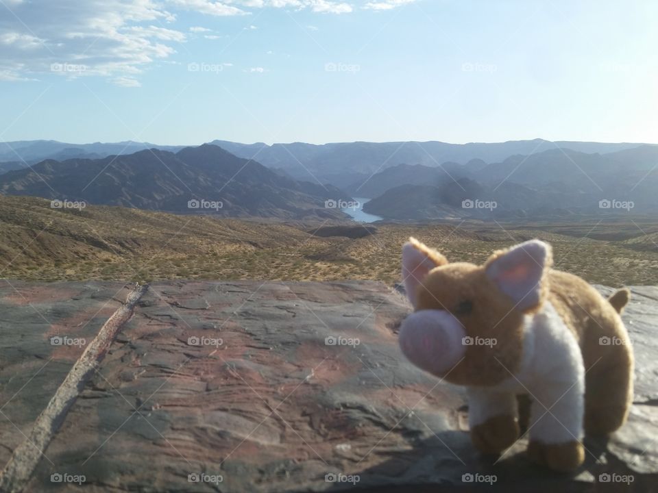 Pigglett outside hoover dam with the Colorado River in the background