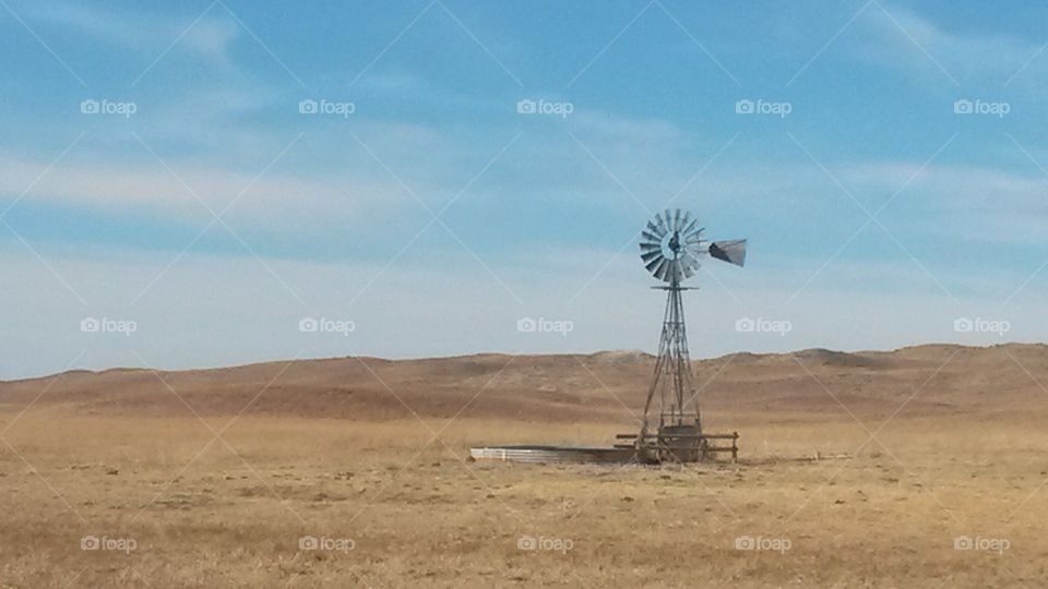 lone windmill