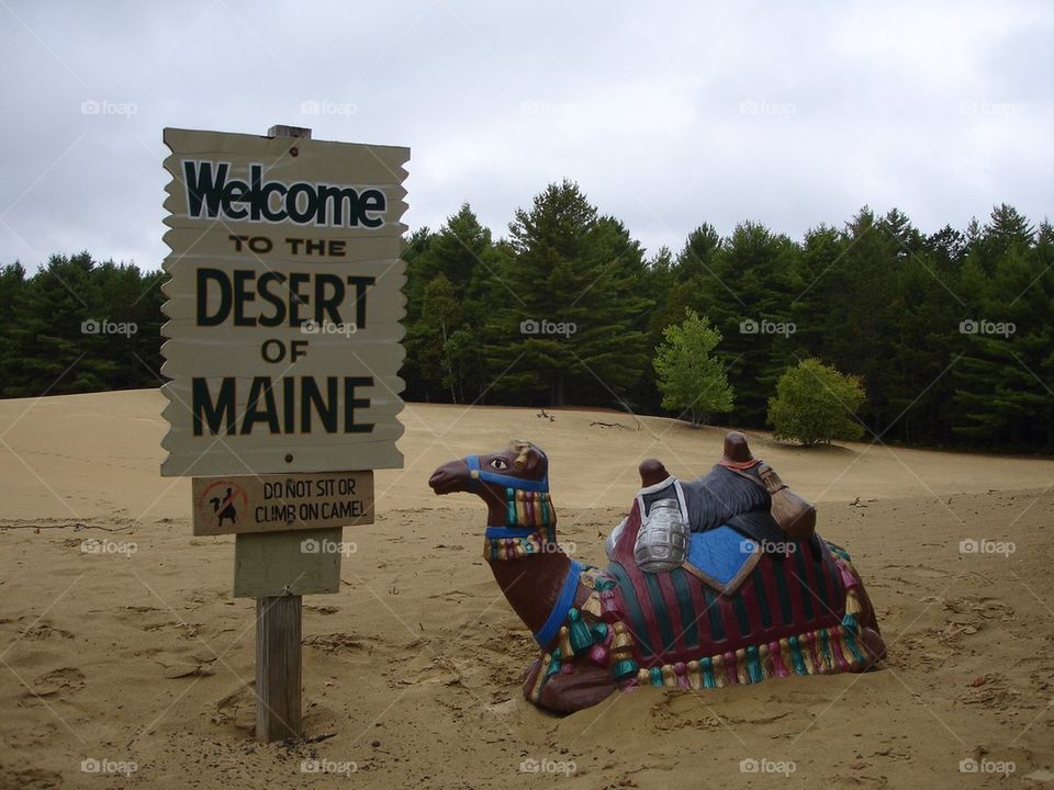 Desert of Maine