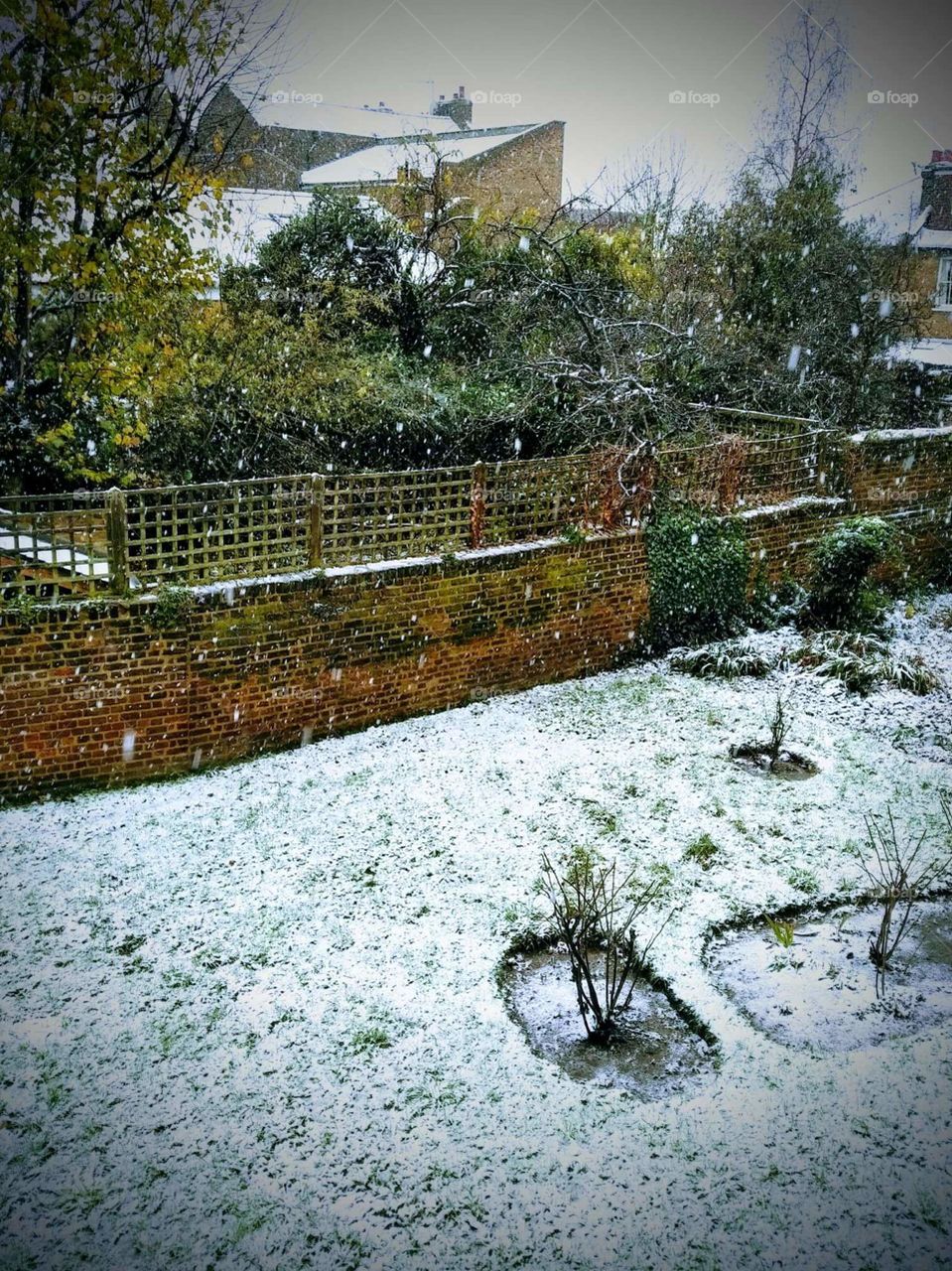 Snowfall in London