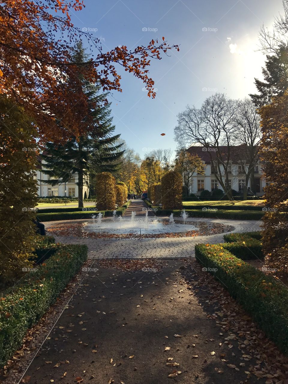 autumn in the park