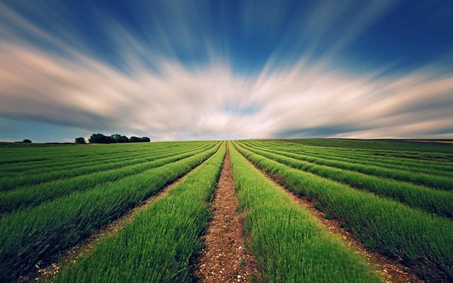 agriculture variety